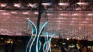 Главная ёлка на Дворцовой площади и новогоднее освещение Санкт-Петербурга