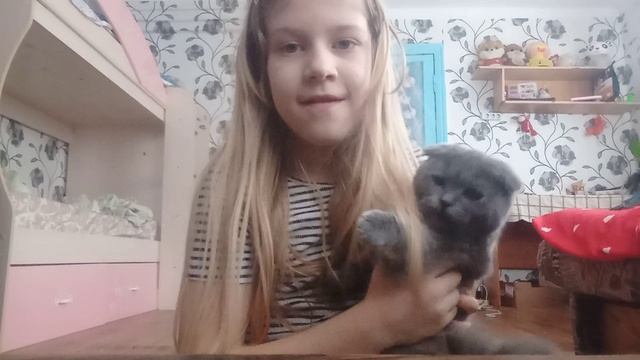 Варя шутит смотреть онлайн