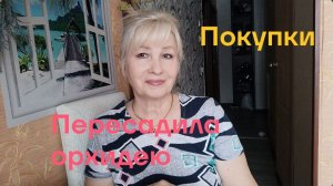 VLOG ✅ Пересадила орхидею/ Покупки