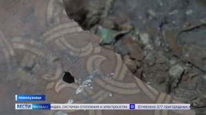 Крысы и запах канализации: жители дома в Новокузнецке жалуются на антисанитарию