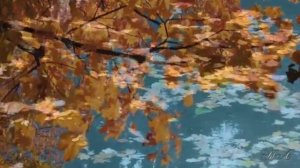 ОСЕННИЕ ЛИСТЬЯ.