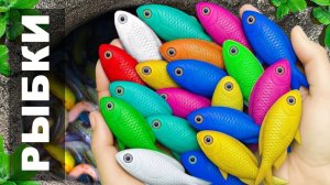 Мультики для детей и малышей про речных обитателей. Ловим и рассматриваем жителей водоема