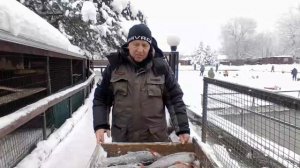 Улов рыбака.