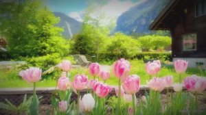 Жизнь в швейцарской сельской местности — расслабляющее путешествие по красивым швейцарским деревням.