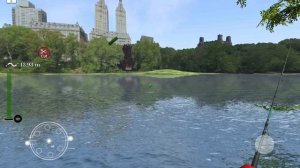 я поймал карпа 6,51кг