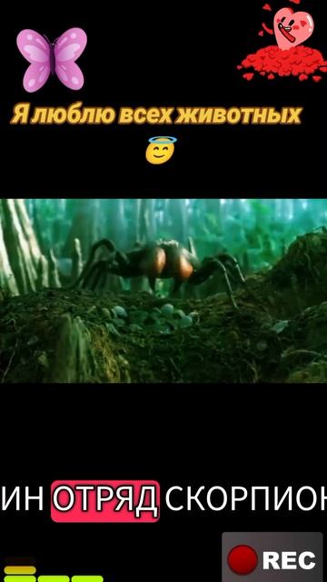 Я люблю всех животных😇 смотреть онлайн