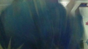 VID_20260120_210346.mp4