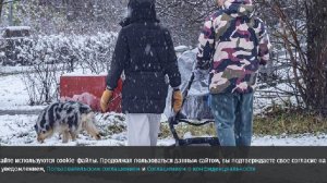 В Госдуме предложили рассмотреть расширение семейной налоговой выплаты