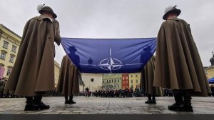 TiP сообщила об отказе НАТО делиться разведданными с США из-за Гренландии