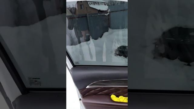 Интеллектуал поневоле