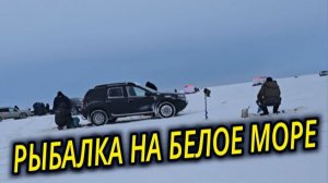 БЕЛОЕ МОРЕ ПРИЕХАЛИ ЗА КОРЮШКОЙ
