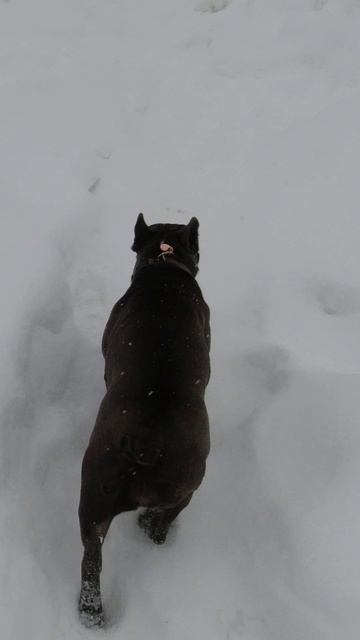 Люси - звезда! смотреть онлайн