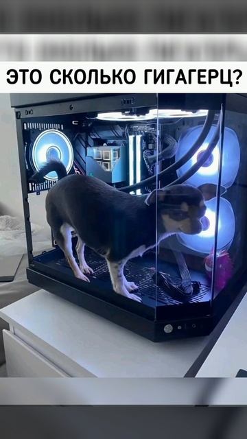 Мемы 😂😂😂 shorts смотреть онлайн