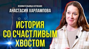 В Тюмени ямальцы открыли котокафе