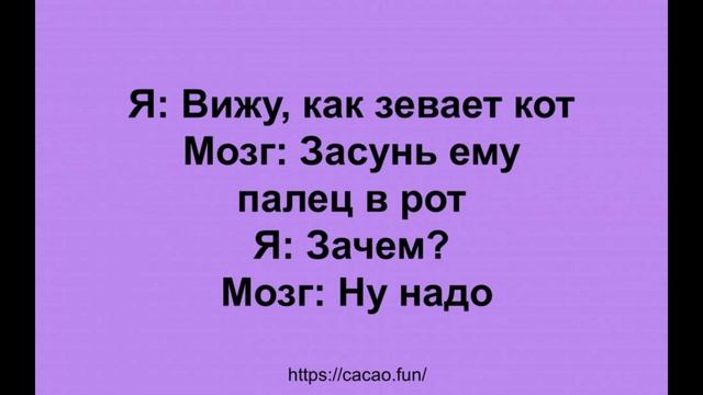 Веселые анекдоты (5) смотреть онлайн