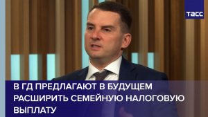 В ГД предлагают в будущем расширить семейную налоговую выплату