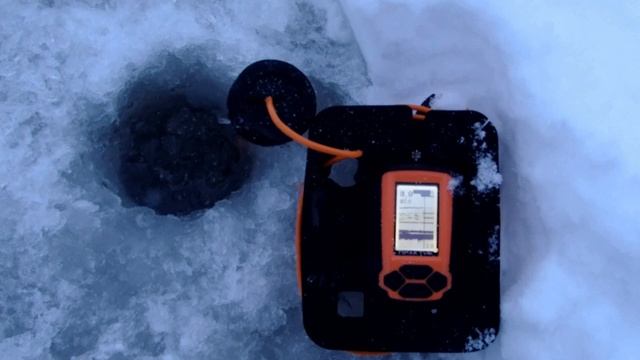 О рыбалке на Химкинском водохранилище. 20.01.2025 смотреть онлайн