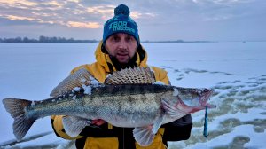 ЖЕСТЬ! ОГРОМНЫЕ СУДАКИ КЛЮЮТ ДУПЛЕТОМ! Зимняя рыбалка ловля судака на VIB 2026