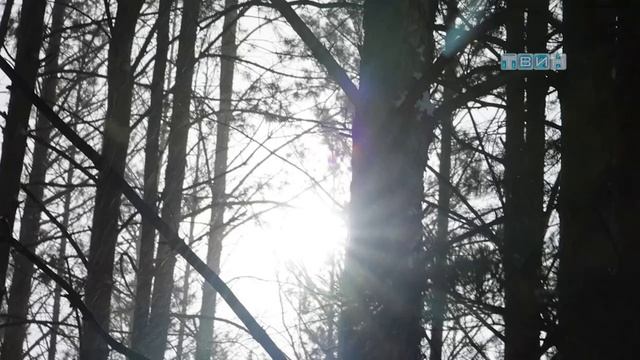 леса ООО Искра возвращены государству смотреть онлайн