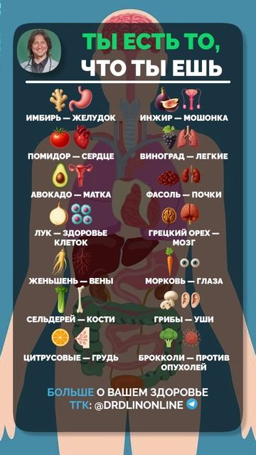 Эти ПРОДУКТЫ должен есть КАЖДЫЙ! #здоровье #питание #правильноепитание смотреть онлайн