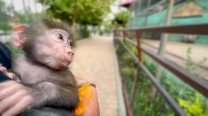 Родня Люси так ЗАКРИЧАЛА, что испугалась даже Ангелина!