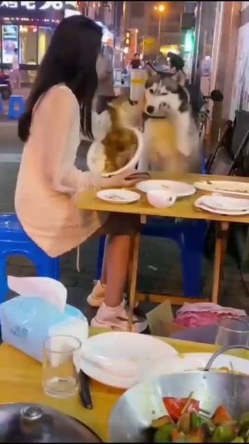 Он не кусается... смотреть онлайн