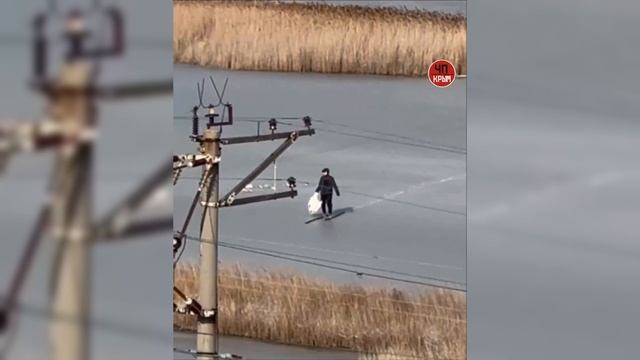 Лебеди погибают на озерах Крыма? видео ЧП / Крым|Telegram смотреть онлайн