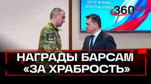 Забота о защитниках: новые меры поддержки и награждение добровольцев за мужество