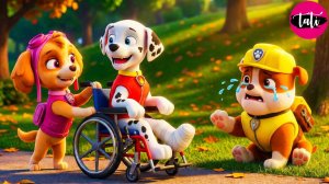 Щенячий патруль и Маршалл. Залипательное видео. Мультфильм для детей и малышей. Анимация 84