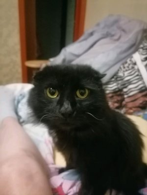 Я на рутубе