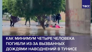 Как минимум четыре человека погибли из-за вызванных дождями наводнений в Тунисе