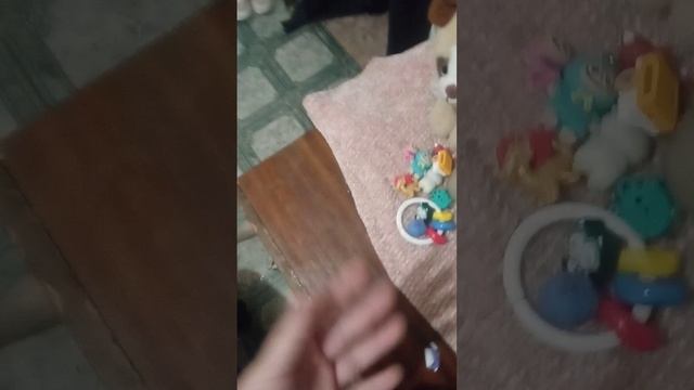 VID_20260120_160024.mp4 смотреть онлайн