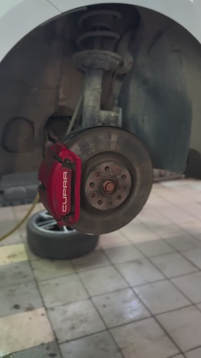 РЕДКИЙ ЭКЗЕМПЛЯР 💥