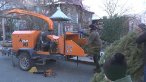 Мастер-класс по переработке новогодних елок прошел в экопарке Севастополя