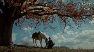 Стоит ли отказаться от мечты?