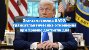 Экс-замгенсека НАТО назвал Европу цифровой колонией США