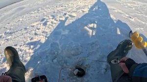 ЧУДСКОЕ ОЗЕРО!!НИНА.ЗИМНЯЯ РЫБАЛКА НА МОРМЫШКУ 2026.ЗИМНЯЯ РЫБАЛКА