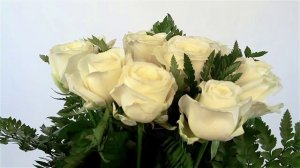 БЕЛАЯ ЛЮБОВЬ. ПРОНИКАЮЩАЯ ПЕСНЯ