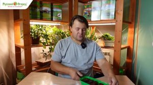 Зимний огород - свежие витамины круглый год!