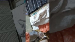 Красная рыбка для Снежка