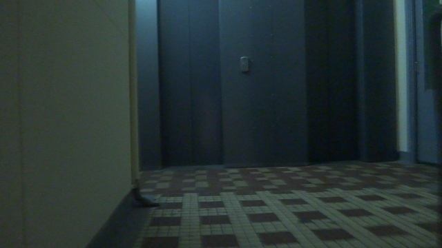 Пассажирские лифты (г. Зеленоград), V=1 м-с, г-п 400 кг (132), музыкальные лифты КМЗ смотреть онлайн