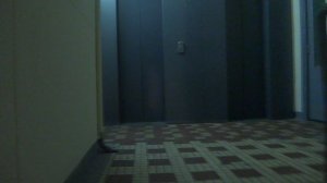 Пассажирские лифты (г. Зеленоград), V=1 м-с, г-п 400 кг (132), музыкальные лифты КМЗ