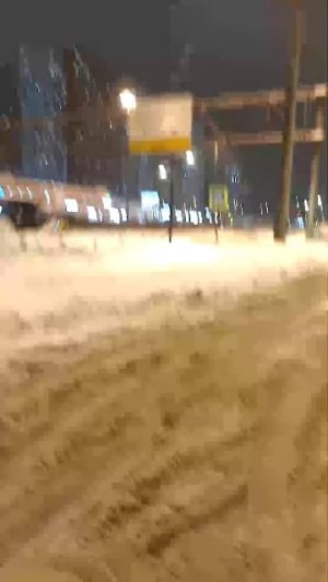 Ночной прогулки