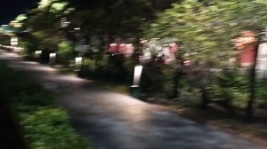 Парк Лонузьяарейи, Мале, Мальдивы, январь 2026 (Lonuziyaaraiy Park, Male, Maldives, January 2026)