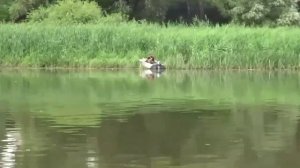 Дон у Вешенской 2024