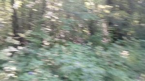 Попробовал поднять камень небольшой из такого-же материала, что и Дольмен, не получилось тяжёлый