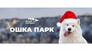 Контактный парк ОШКА. Собачки