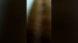 звоню разным людям