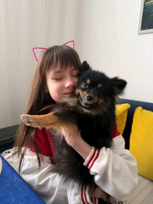 собираю бокс по смайликам