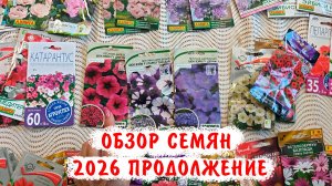 Обзор семян цветов 2026 продолжение